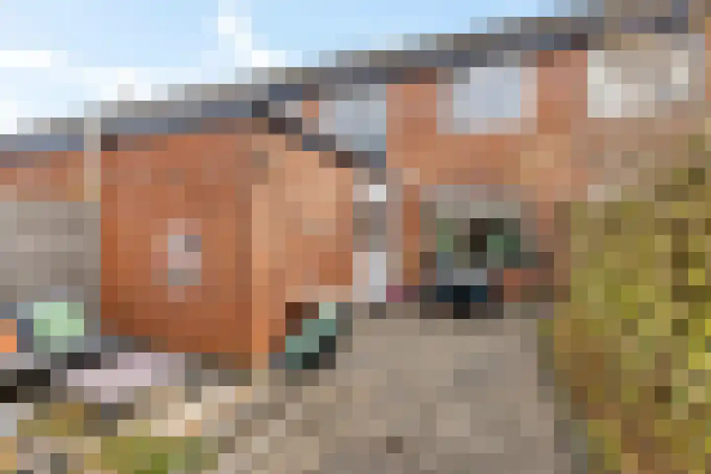 De Bân 12 Ureterp thumbnail 30