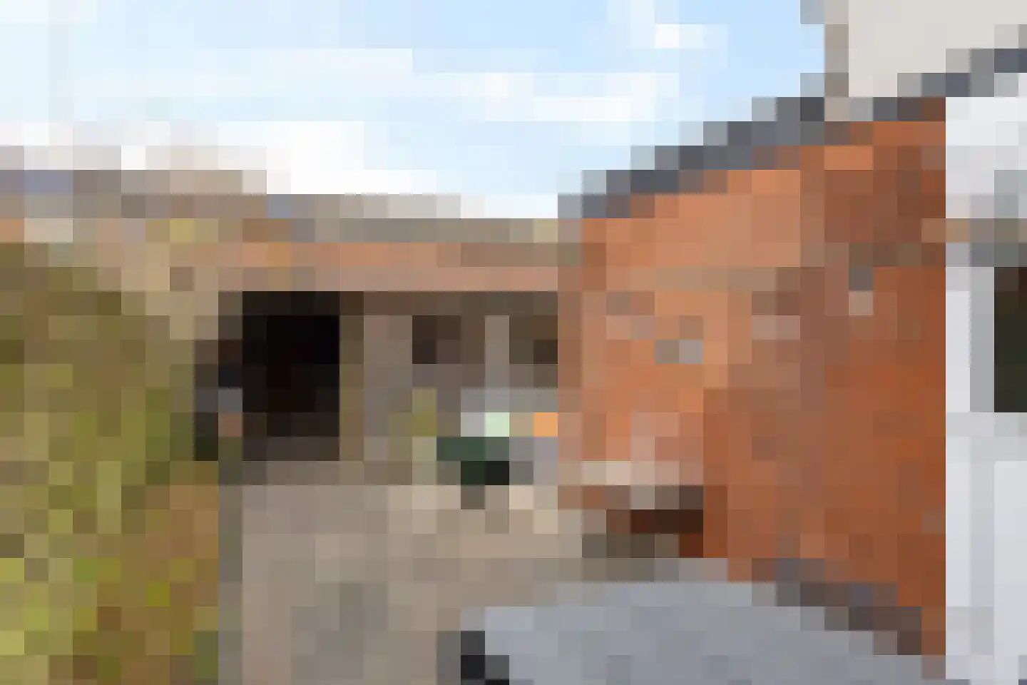 De Bân 12 Ureterp thumbnail 31