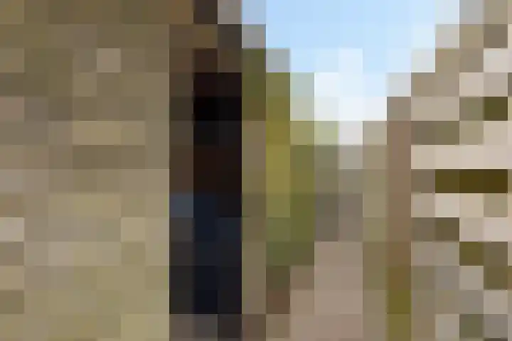 De Bân 12 Ureterp thumbnail 36