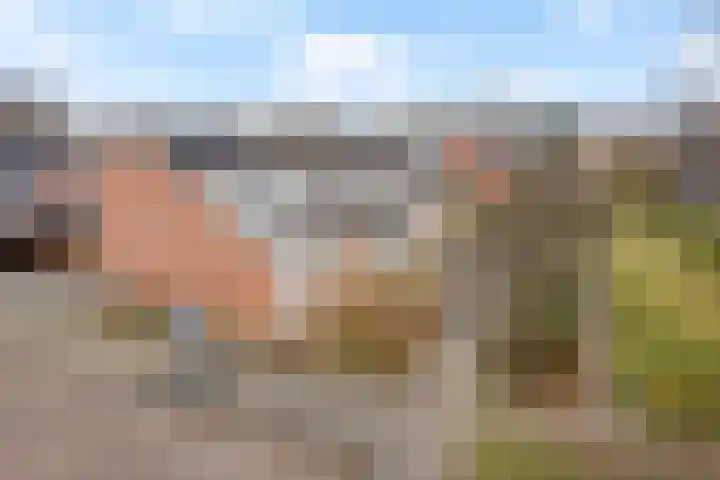 De Bân 12 Ureterp thumbnail 41