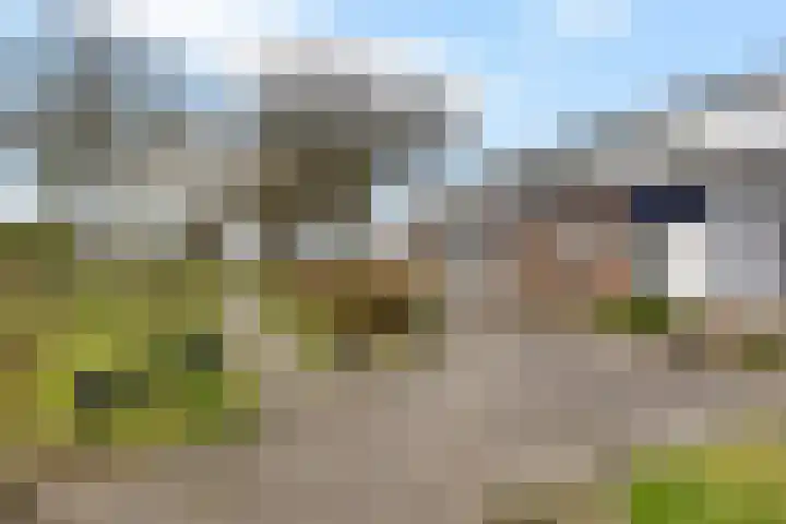 De Bân 12 Ureterp thumbnail 42