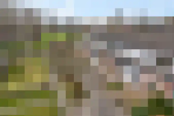 De Bân 12 Ureterp thumbnail 44