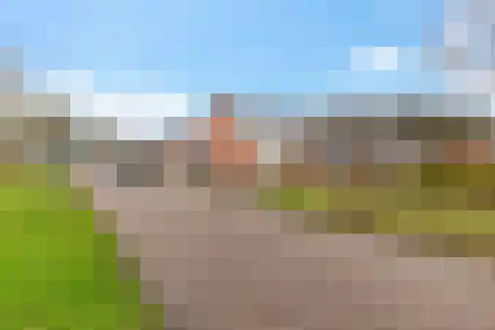 De Bân 12 Ureterp thumbnail 46