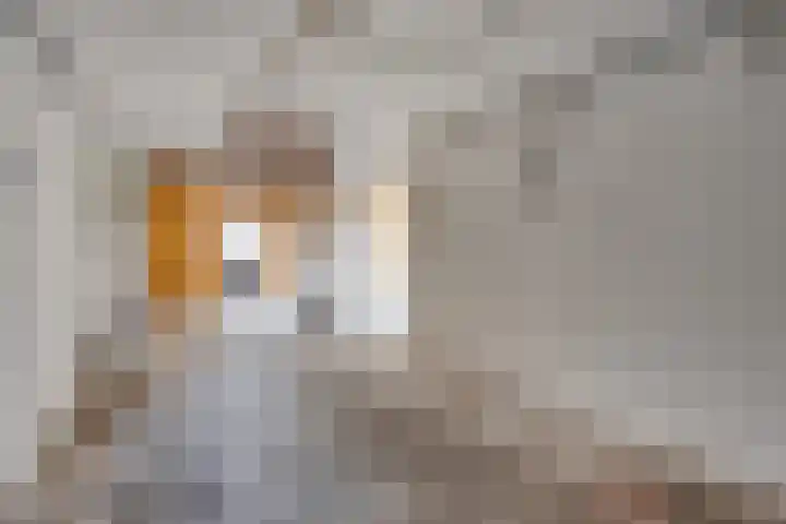 De Band 28 Lith thumbnail 16