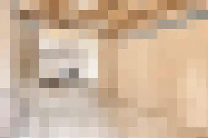 De Band 28 Lith thumbnail 17