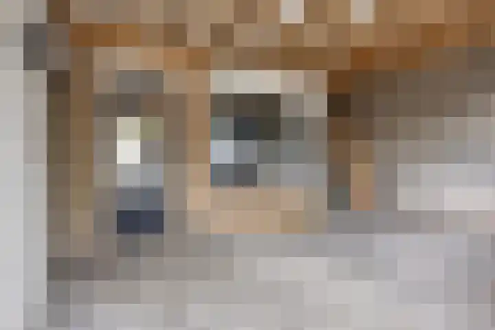 De Band 28 Lith thumbnail 19