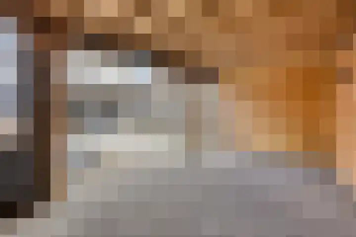 De Band 28 Lith thumbnail 22