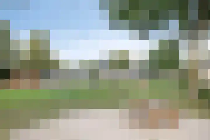 De Band 28 Lith thumbnail 23