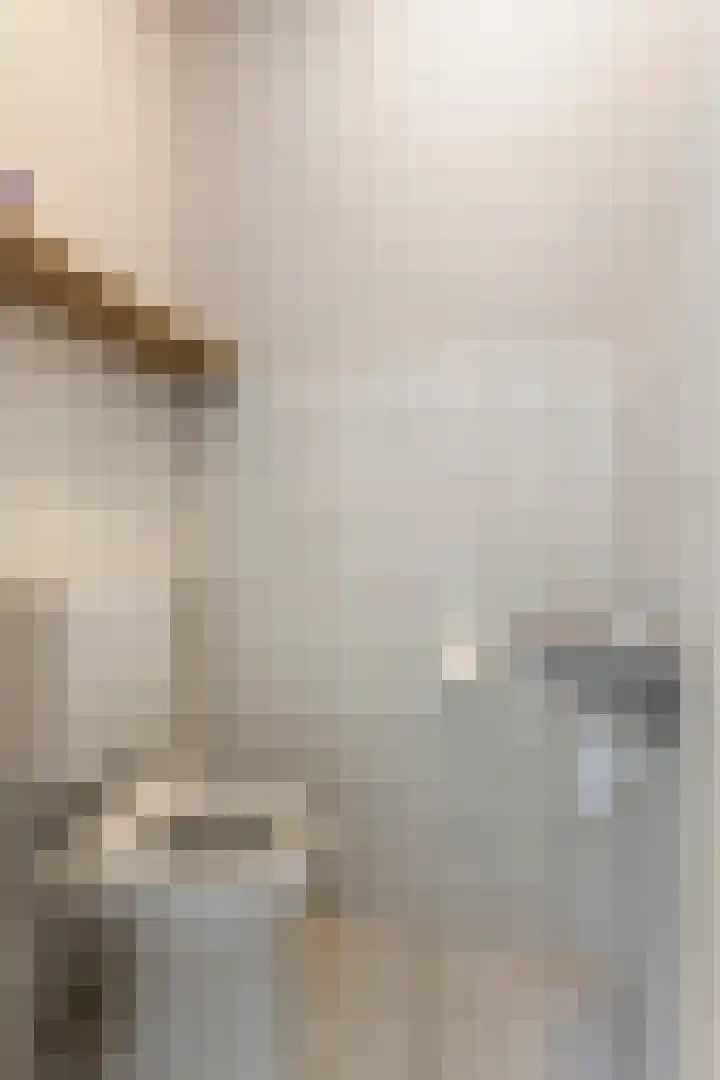 De Band 28 Lith thumbnail 4