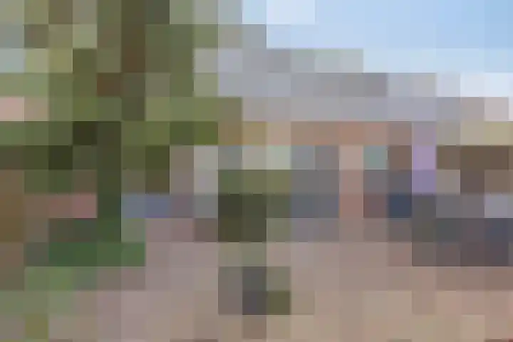 De Band 49 Lith thumbnail 25