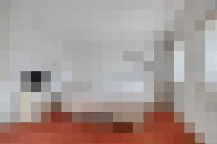 De Band 49 Lith thumbnail 29