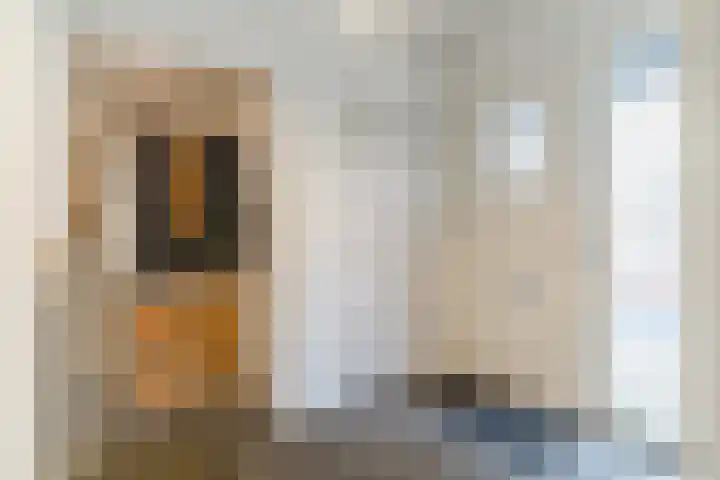 De Band 54 Lith thumbnail 13