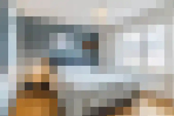 De Band 54 Lith thumbnail 16