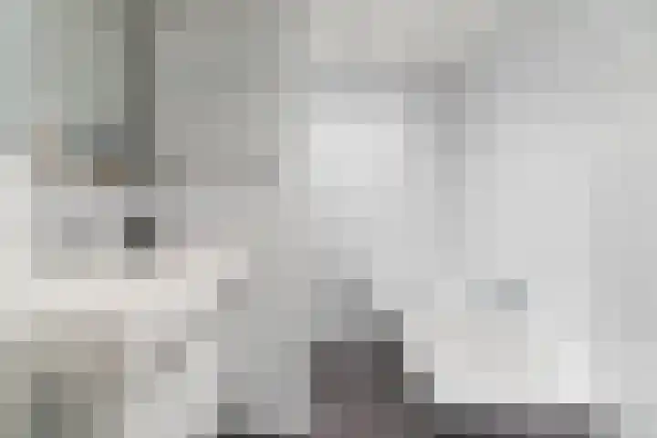 De Band 54 Lith thumbnail 22