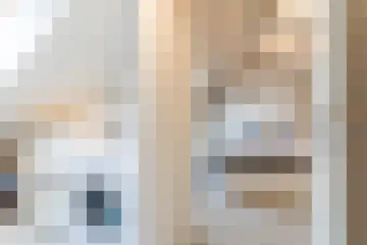 De Band 54 Lith thumbnail 29