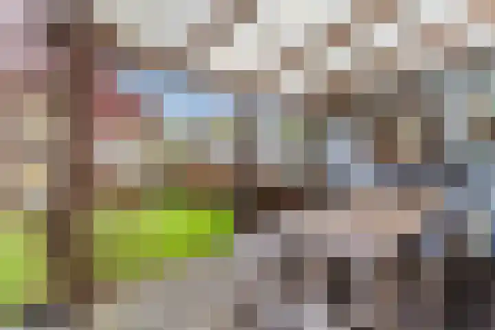 De Band 54 Lith thumbnail 30