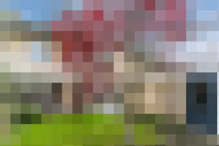 De Band 54 Lith thumbnail 32