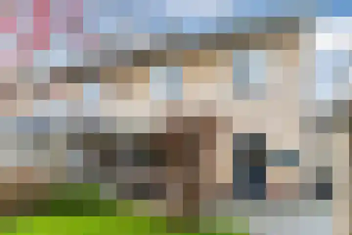 De Band 54 Lith thumbnail 33