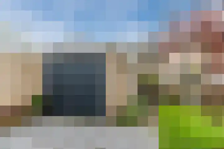 De Band 54 Lith thumbnail 34