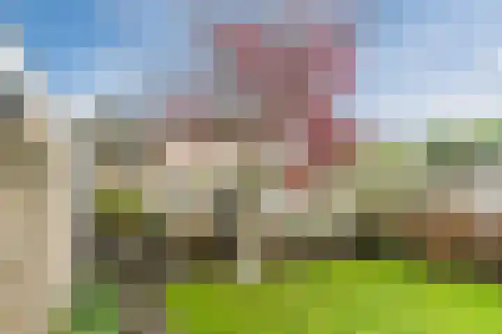 De Band 54 Lith thumbnail 35