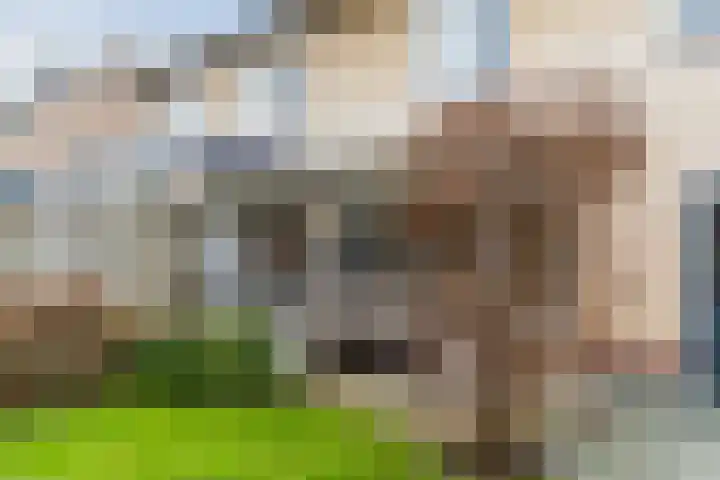 De Band 54 Lith thumbnail 36