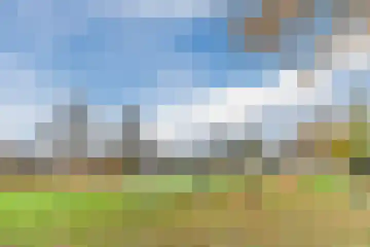 De Band 54 Lith thumbnail 41