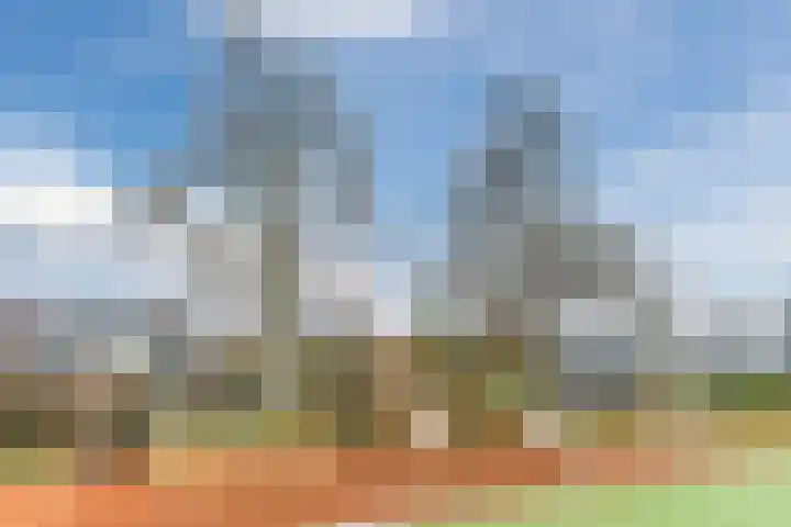 De Band 54 Lith thumbnail 42