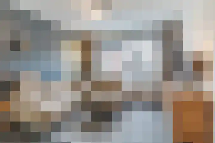 De Band 54 Lith thumbnail 5