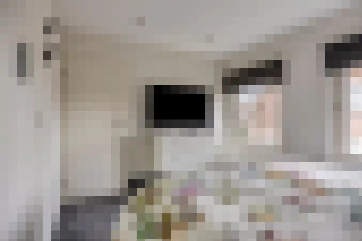 De Band 62 Lith thumbnail 13