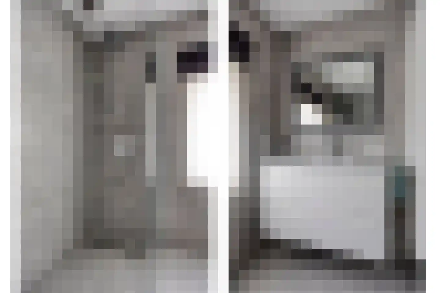 De Band 62 Lith thumbnail 15