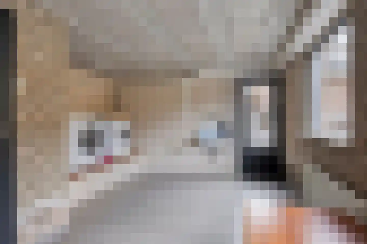 De Band 62 Lith thumbnail 24