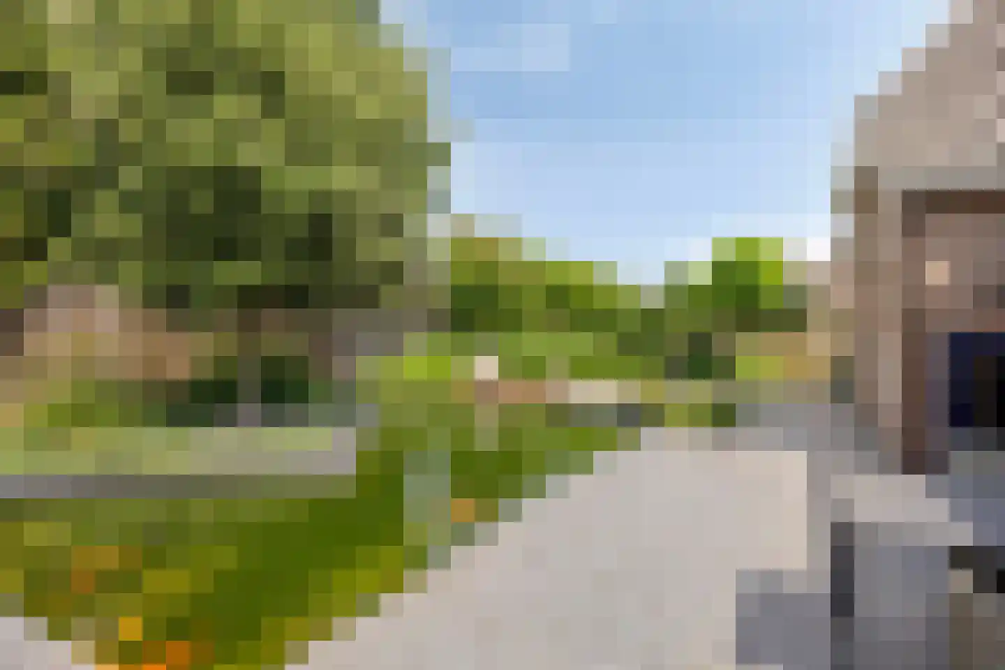 De Band 62 Lith thumbnail 30