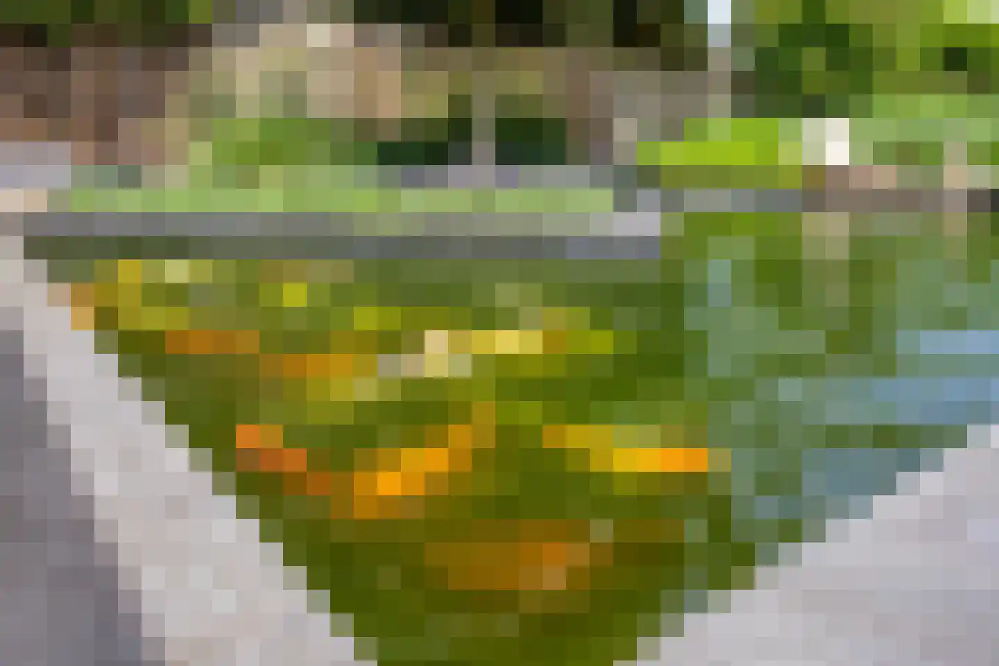 De Band 62 Lith thumbnail 33