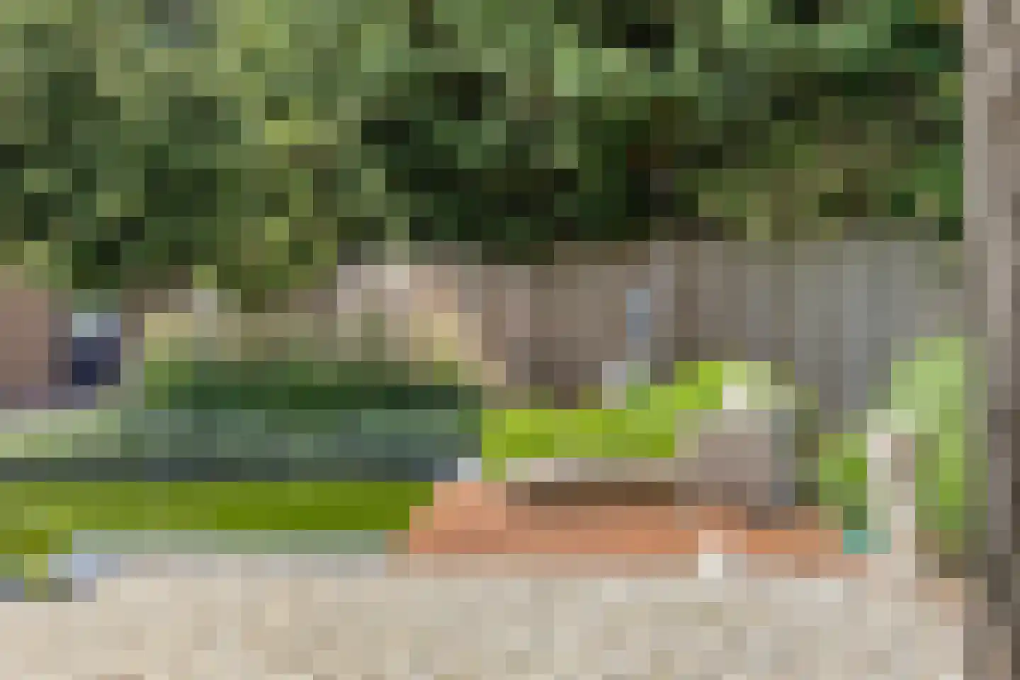De Band 62 Lith thumbnail 35