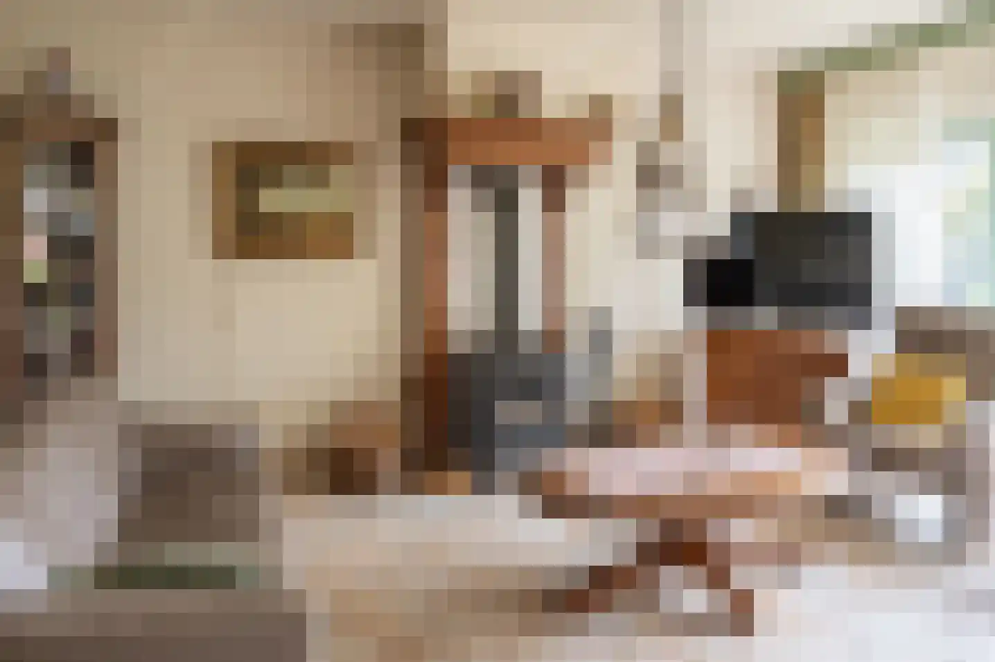 de Banenkamp 7 Vorden thumbnail 10