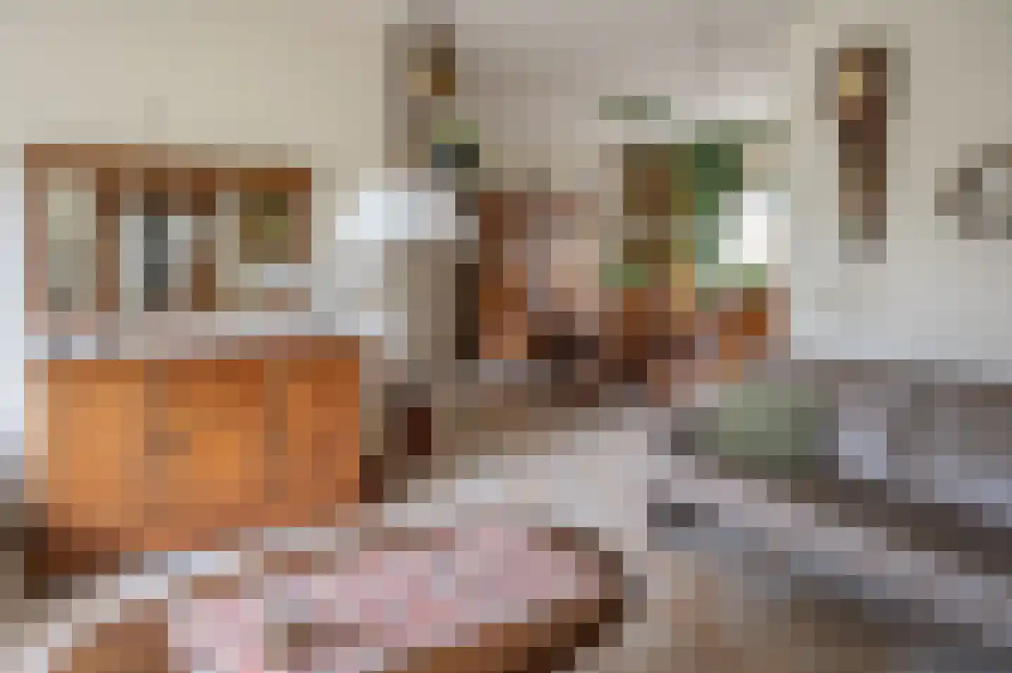 de Banenkamp 7 Vorden thumbnail 11