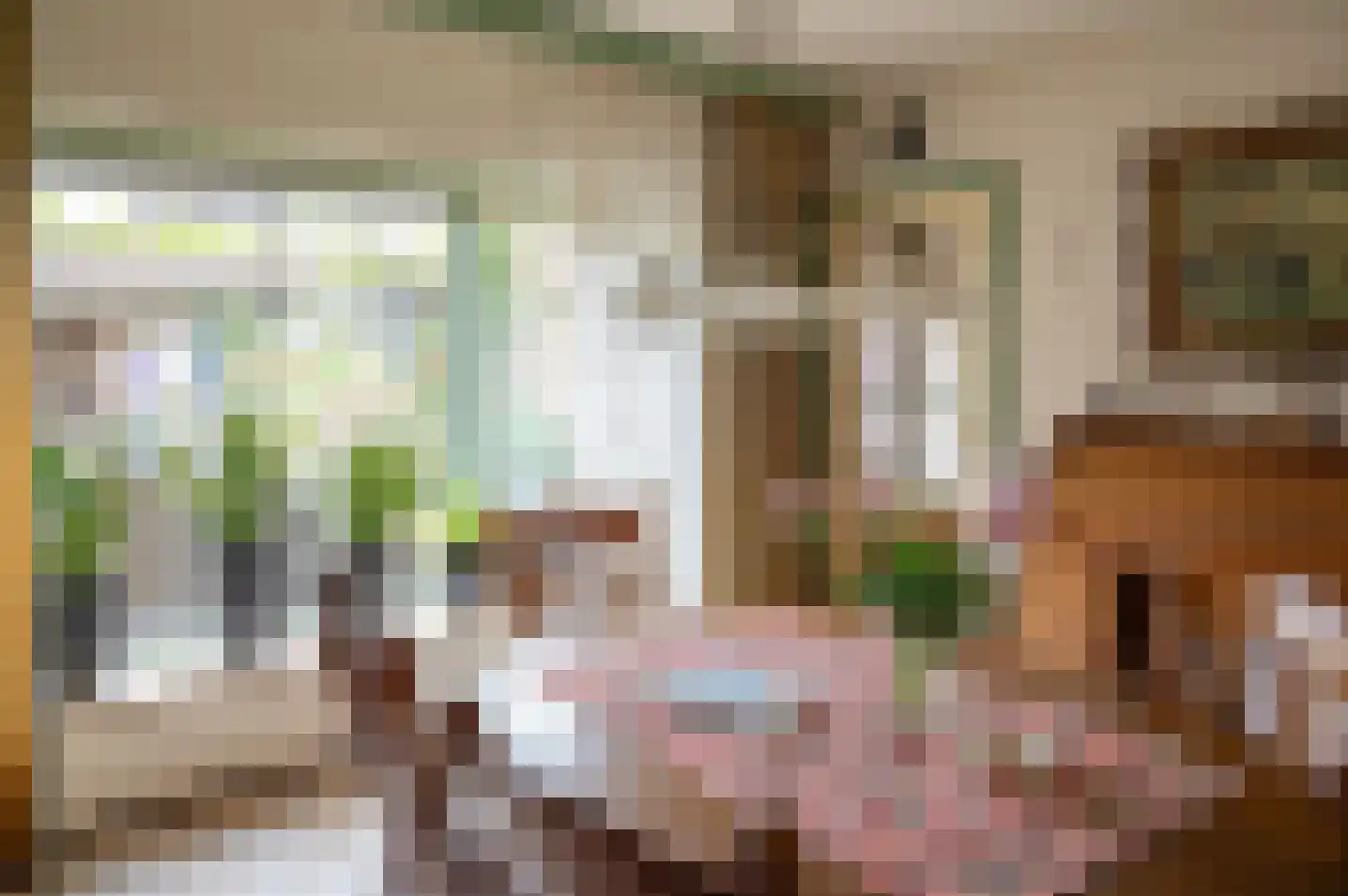 de Banenkamp 7 Vorden thumbnail 12