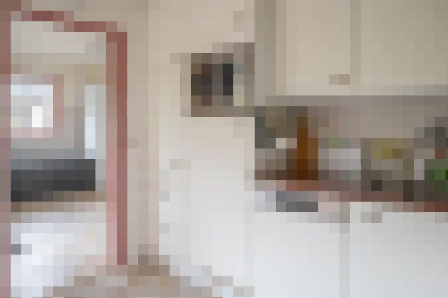 de Banenkamp 7 Vorden thumbnail 13