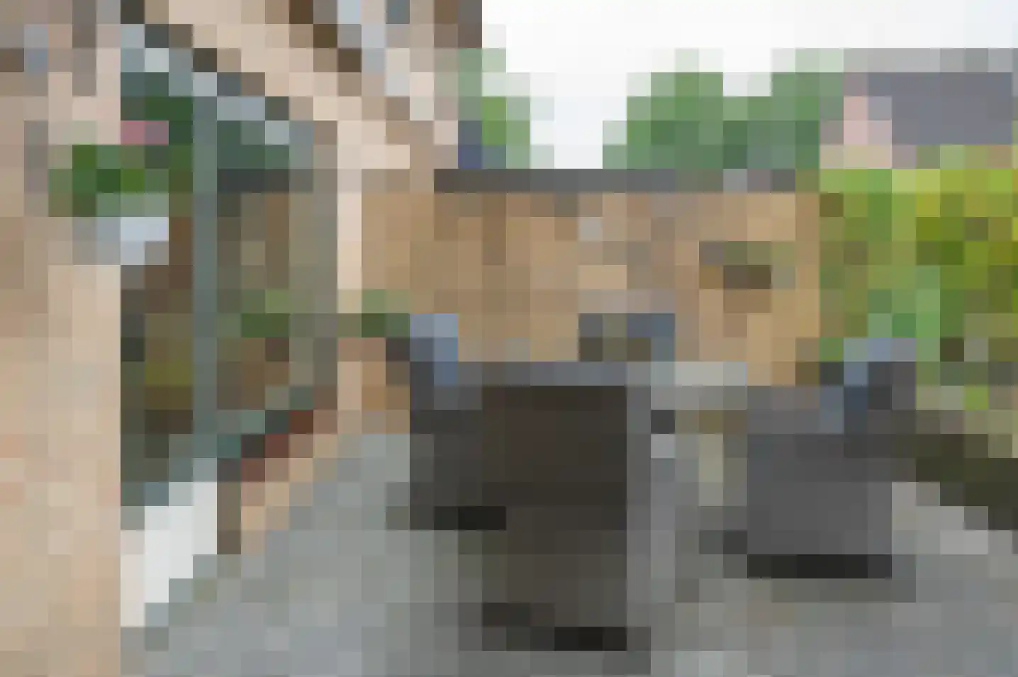 de Banenkamp 7 Vorden thumbnail 15