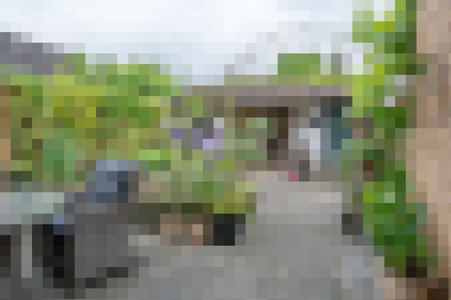 de Banenkamp 7 Vorden thumbnail 26