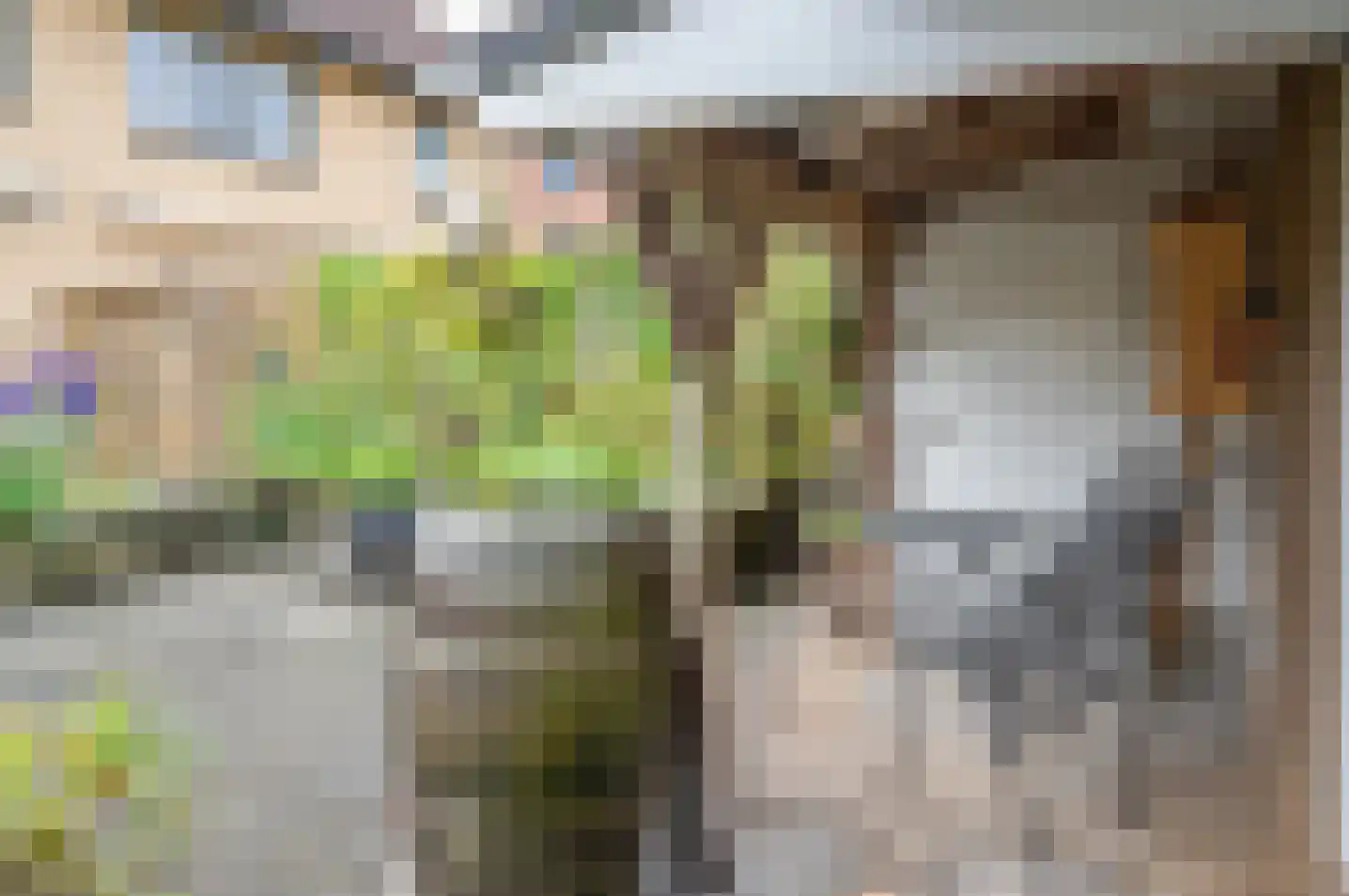 de Banenkamp 7 Vorden thumbnail 27