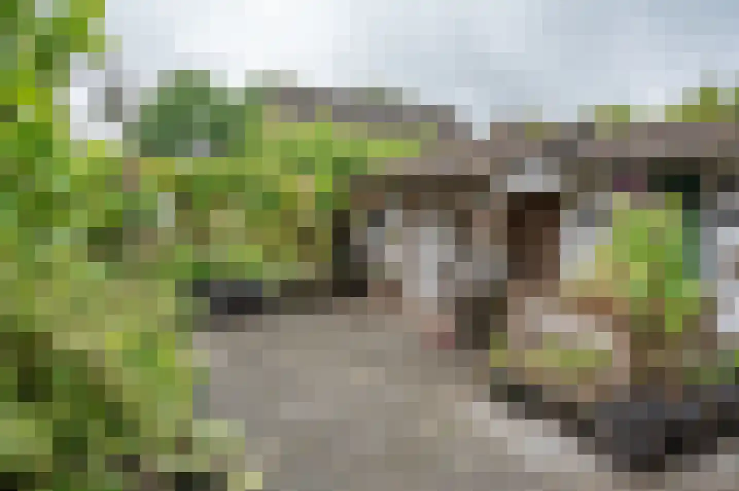 de Banenkamp 7 Vorden thumbnail 29
