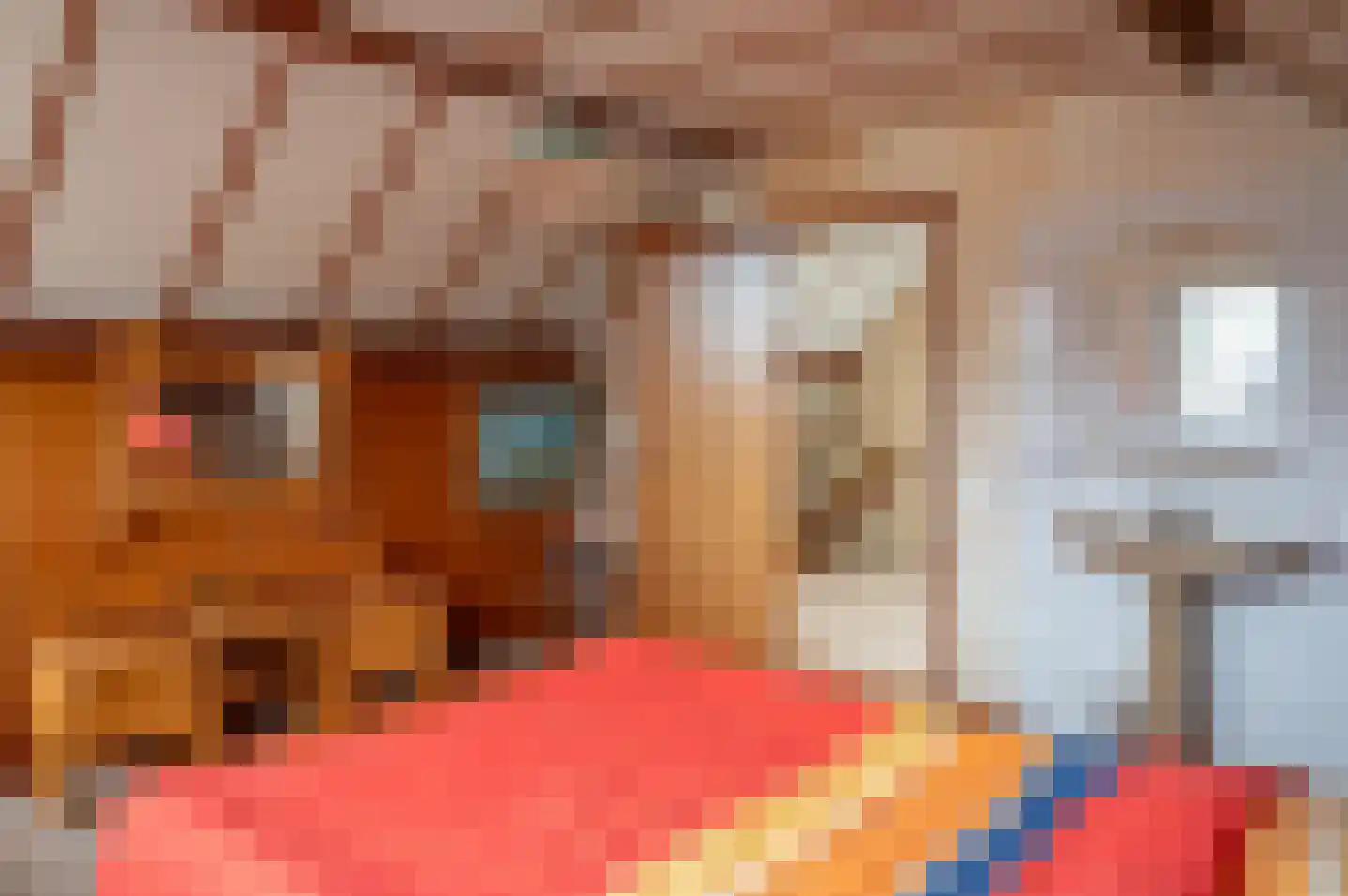 de Banenkamp 7 Vorden thumbnail 4
