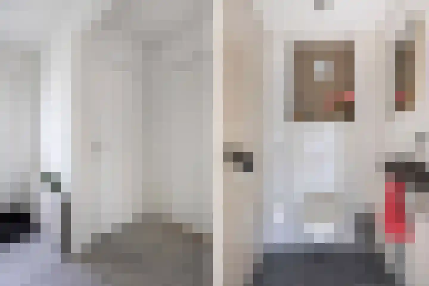 De Banier 1 Swifterbant thumbnail 15