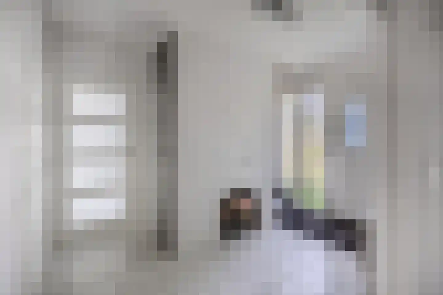 De Banier 1 Swifterbant thumbnail 16