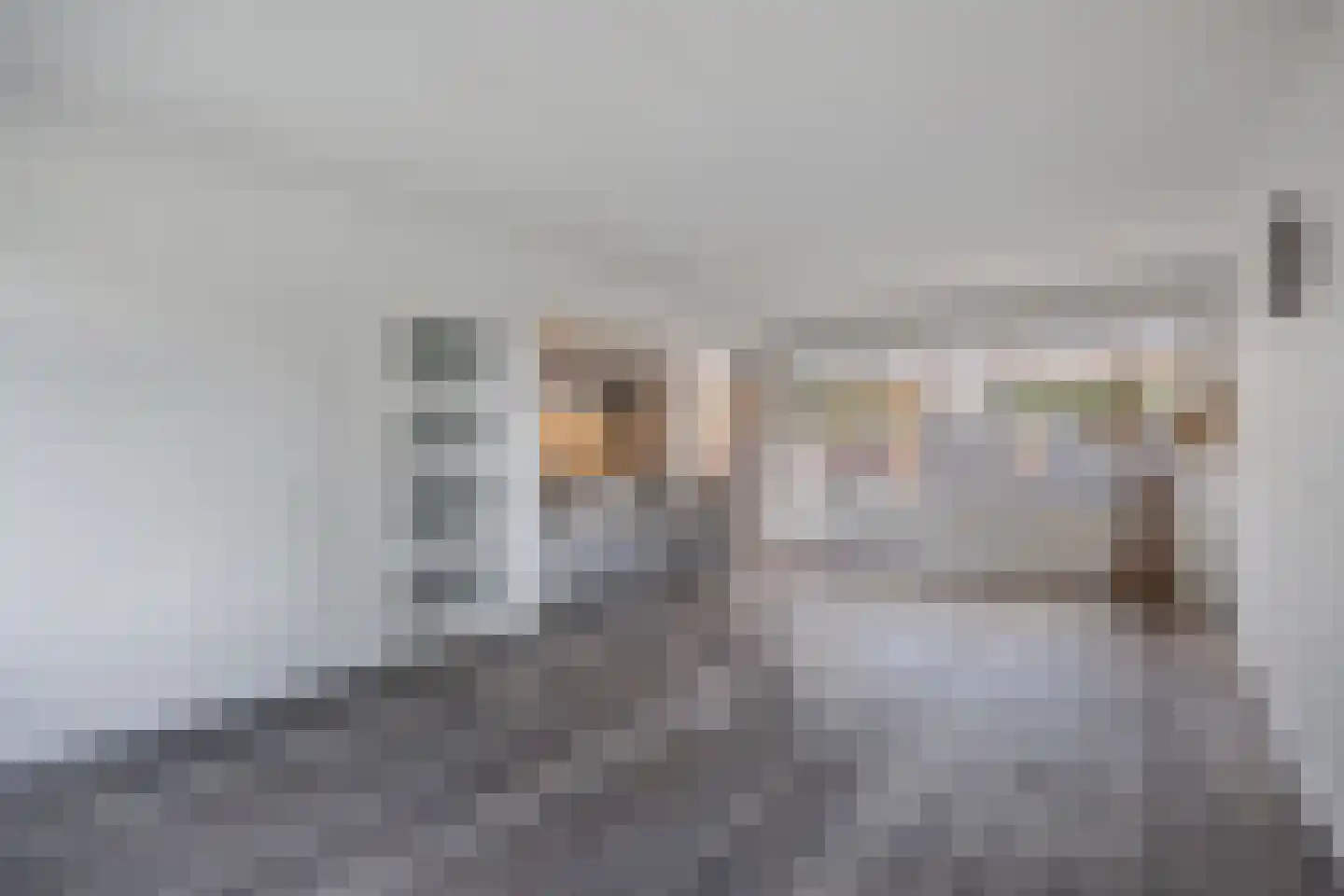 De Banier 1 Swifterbant thumbnail 18