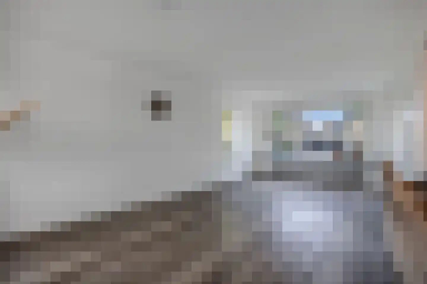De Banier 1 Swifterbant thumbnail 19