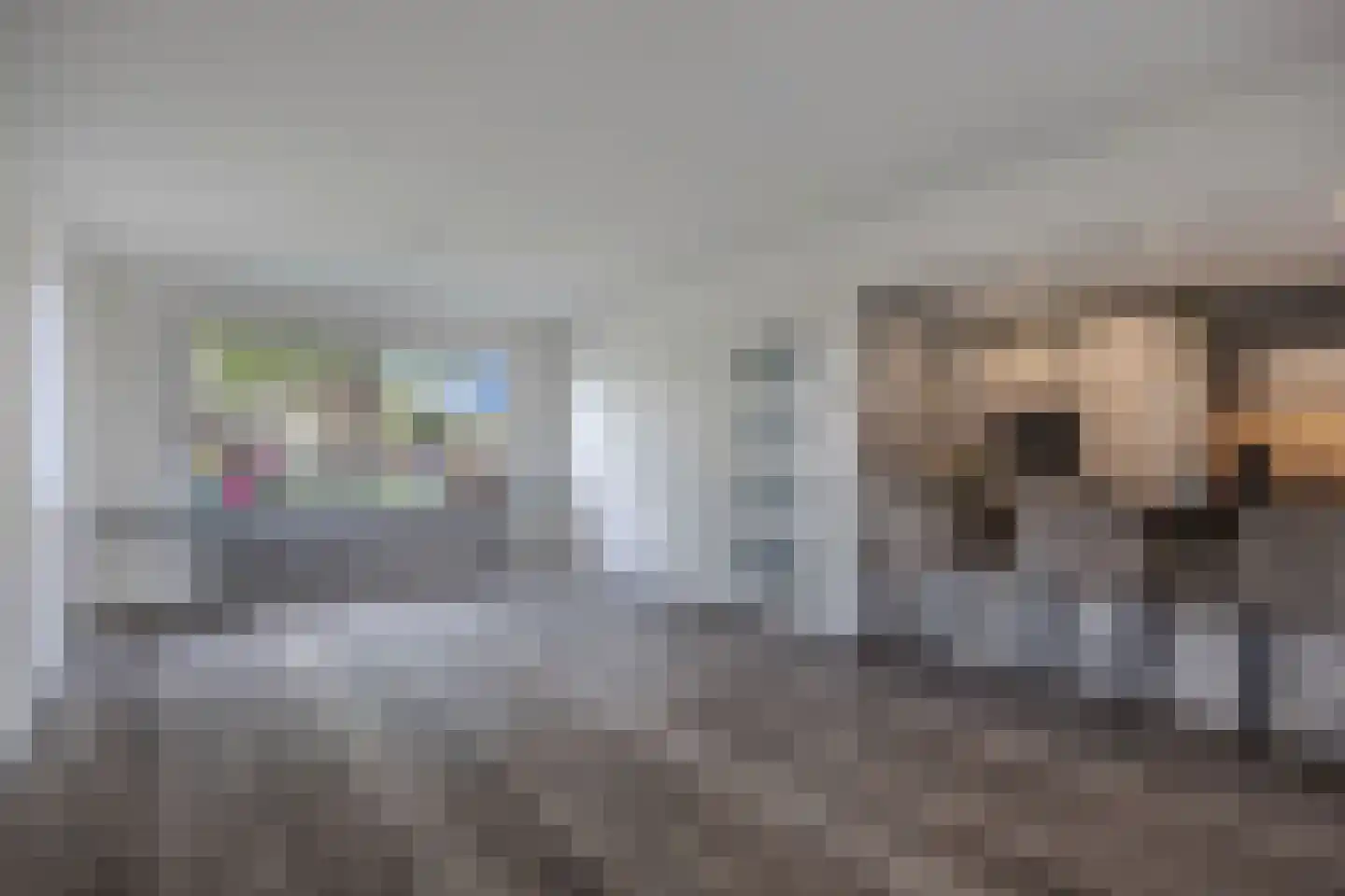 De Banier 1 Swifterbant thumbnail 21