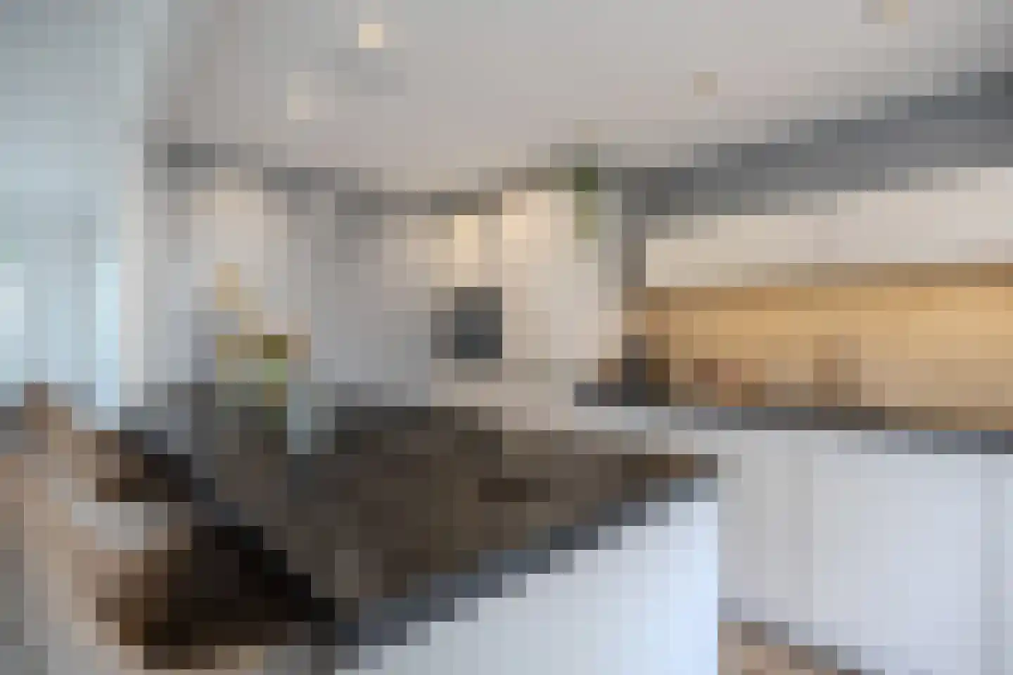 De Banier 1 Swifterbant thumbnail 22