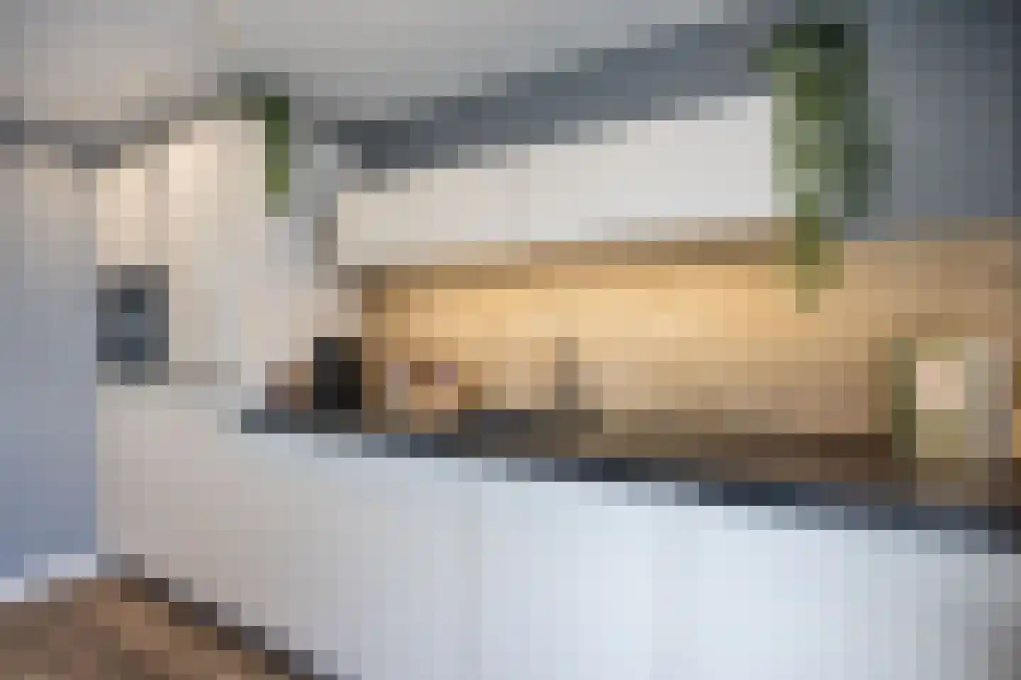 De Banier 1 Swifterbant thumbnail 23